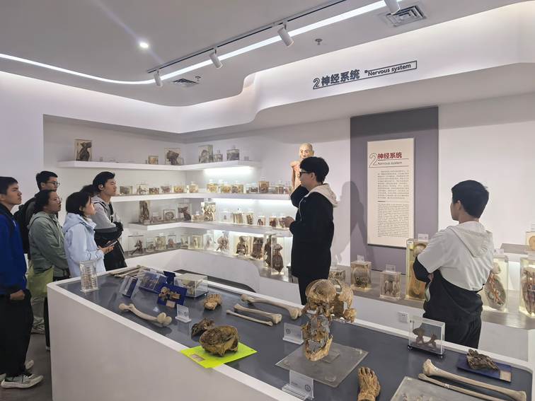 微信图片_20251108153843_206_52